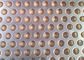 Stainless Steel Perforated Metal Sheet , Punched Hole Steel Sheet Net supplier